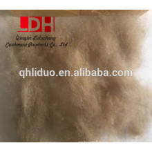 good quality kyrgyz cashmere fibre for 17.5mic dehaired cashmere fibre type